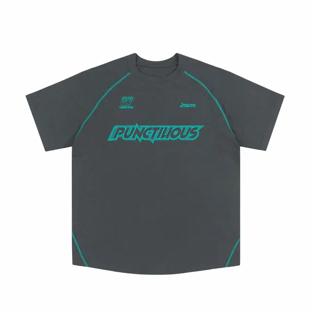 PUNCTILIOUS T