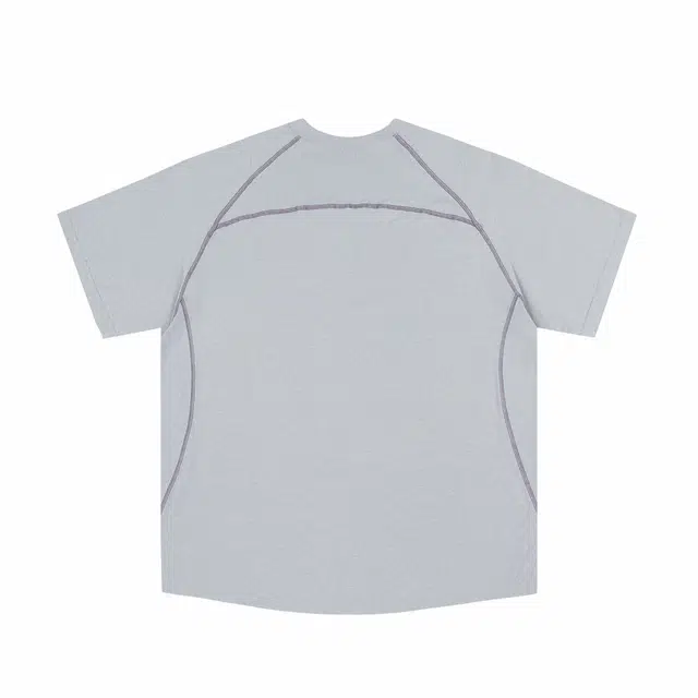 PUNCTILIOUS T