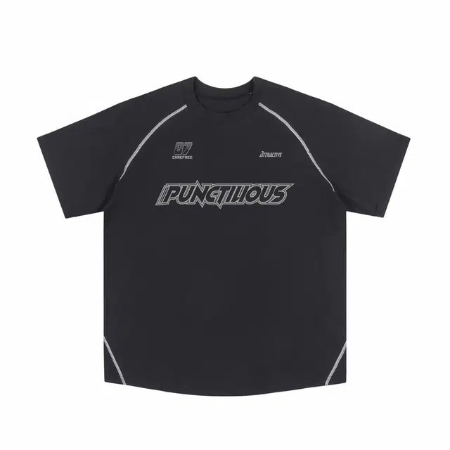 PUNCTILIOUS T