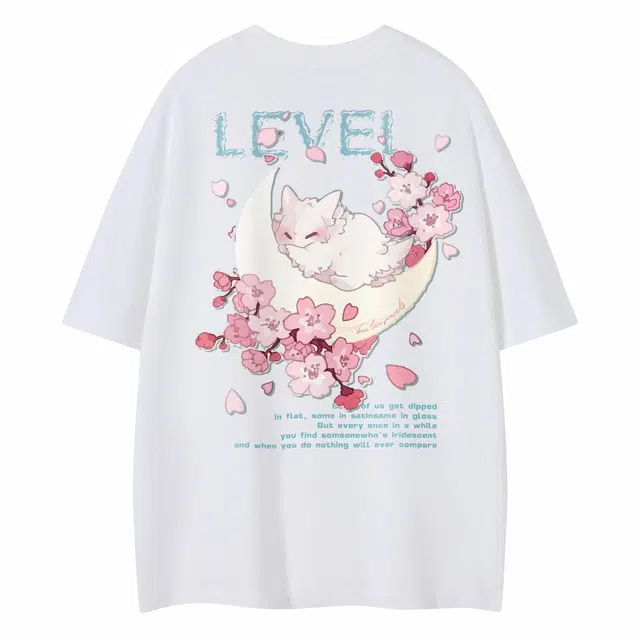 LEVEL T