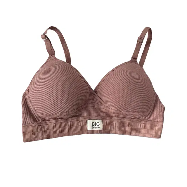 黛尔佳人 法式小胸聚拢舒适防下垂文胸 女款