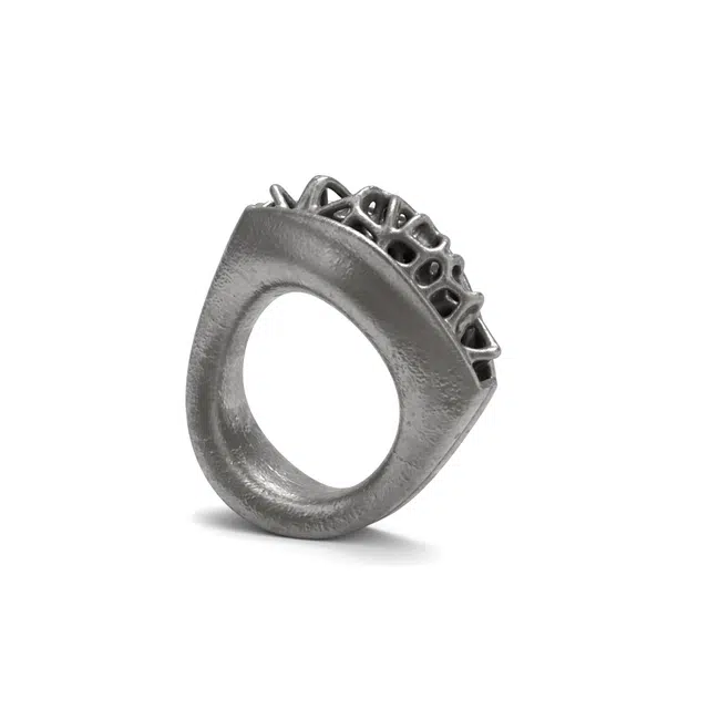 SCRY Form R01 Stainless Steel Ring