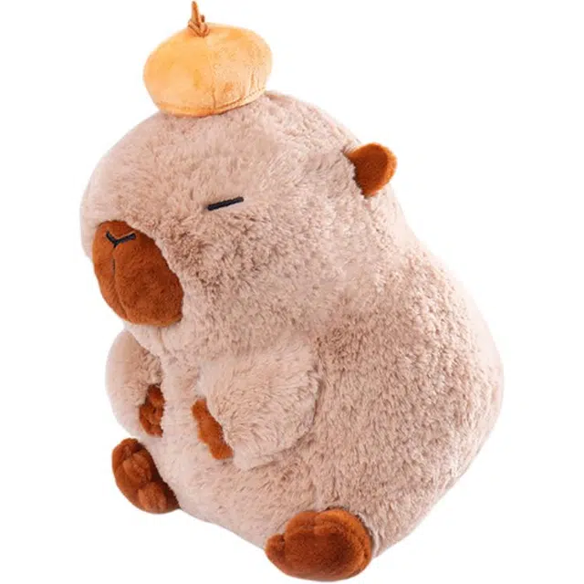 ZEIO 25cm