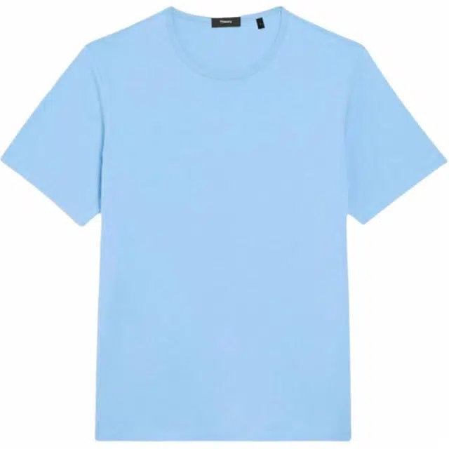 THEORY T