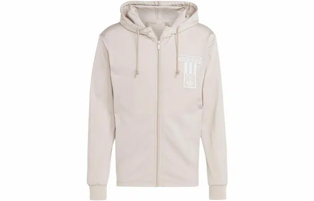 adidas originals Adicolor Adibreak Hoodie Logo