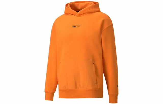 PUMA Protec.t Hoodie