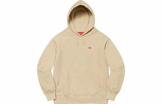Supreme FW21 Week 8 Small Box Hooded Sweatshirt Logo