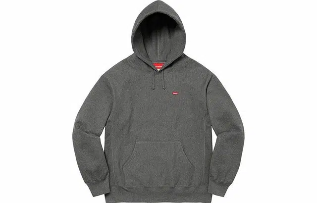 Supreme FW21 Week 8 Small Box Hooded Sweatshirt Logo