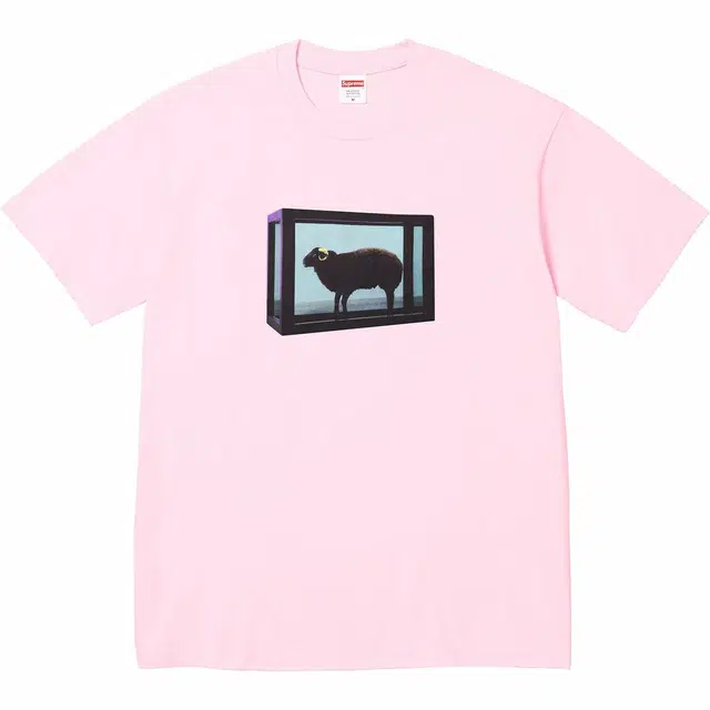 Supreme x Damien Hirst SS25 WEEK1 Tee T
