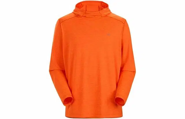 Arcteryx Cormac Hoody