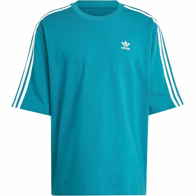 adidas originals ADICOLOR OVERSIZED T
