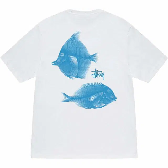 Stussy SS25 X-RAY FISHIN TEE XT