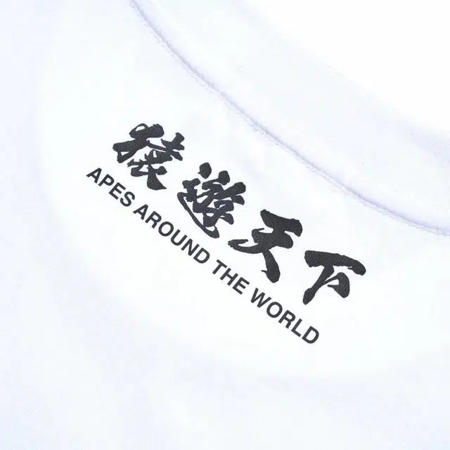 A BATHING APE FW23T