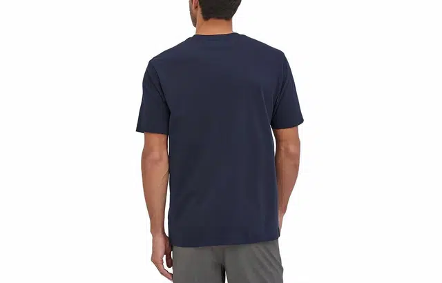 patagonia Alpine Icon LogoT