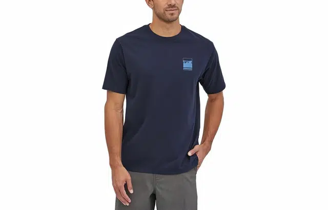 patagonia Alpine Icon LogoT
