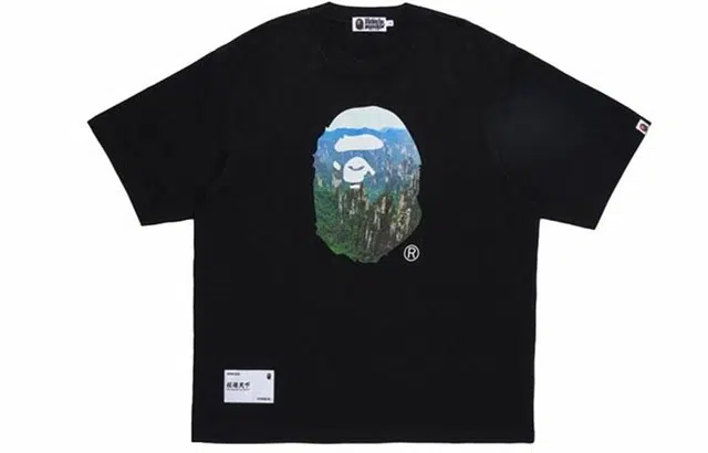 A BATHING APE FW23T
