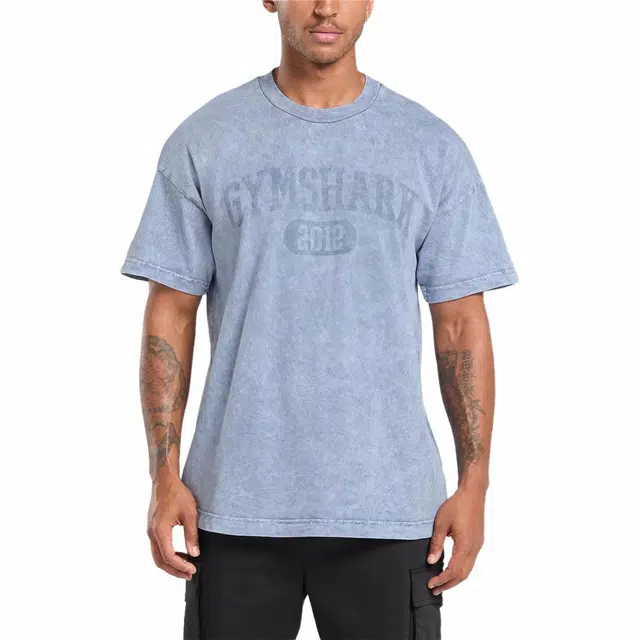 GYMSHARK Collegiate Shadow Washed logoT