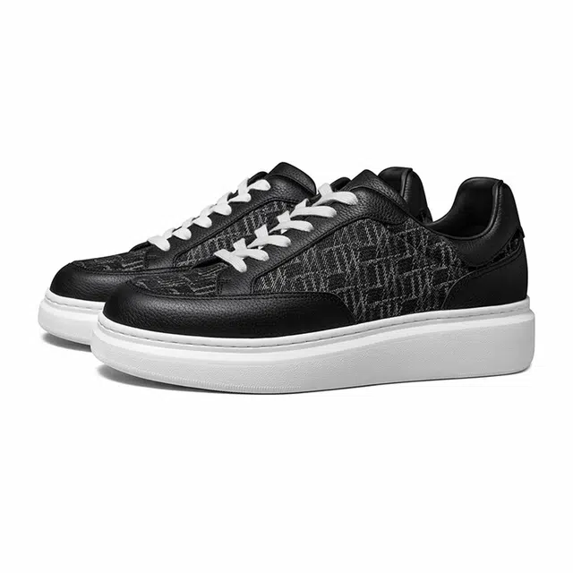 THOM WILLS trainer
