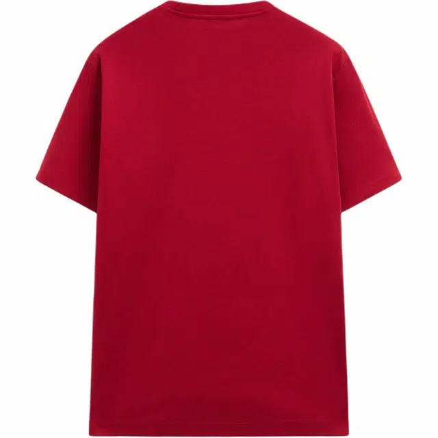 Massimo Dutti T