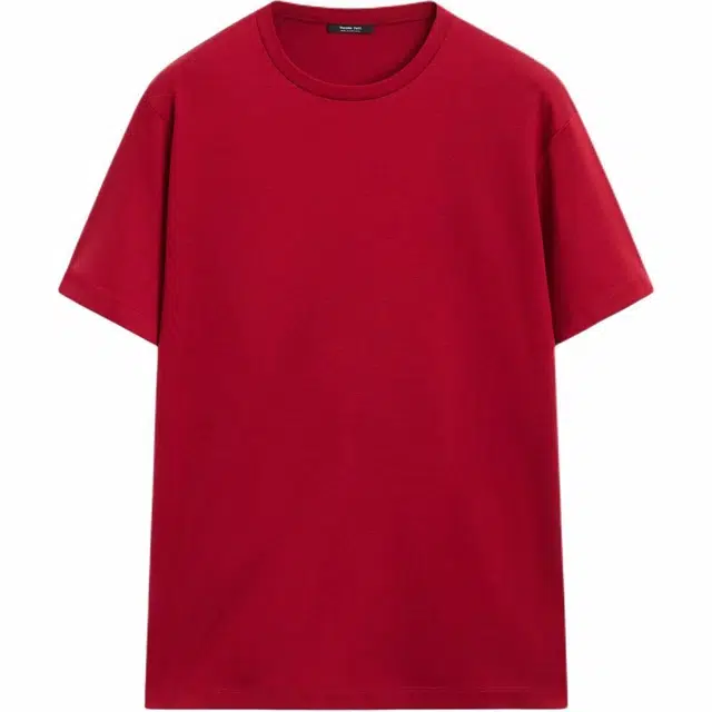 Massimo Dutti T