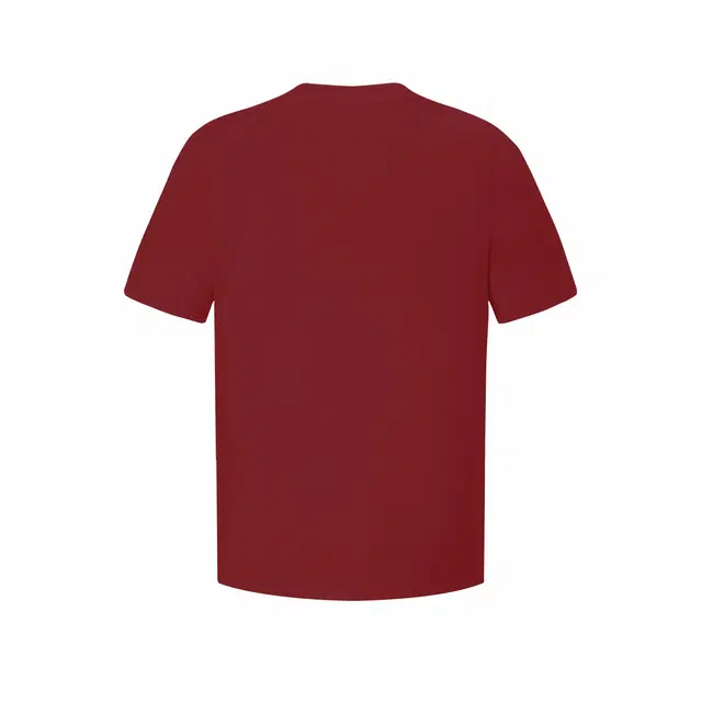PEDLOR T