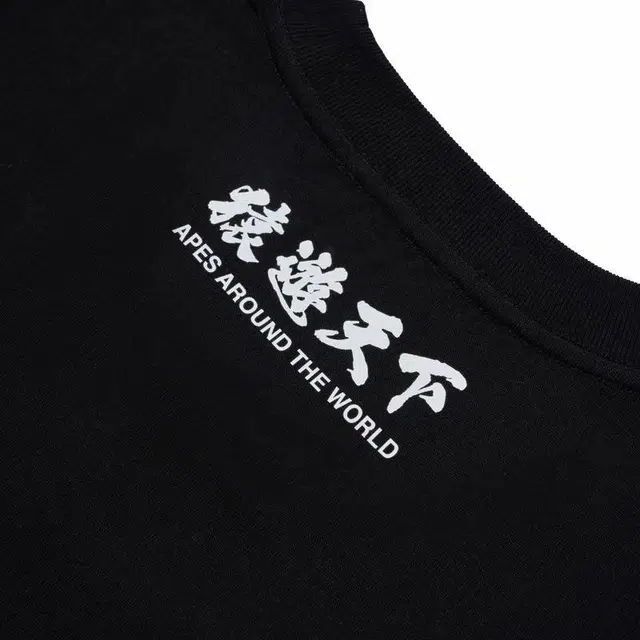 A BATHING APE FW23T