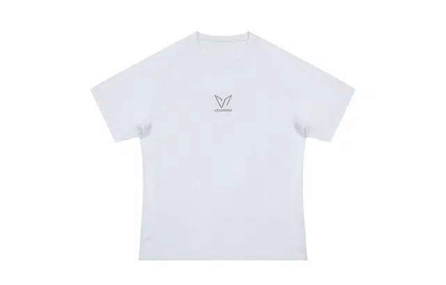 VEIDOORN LogoT