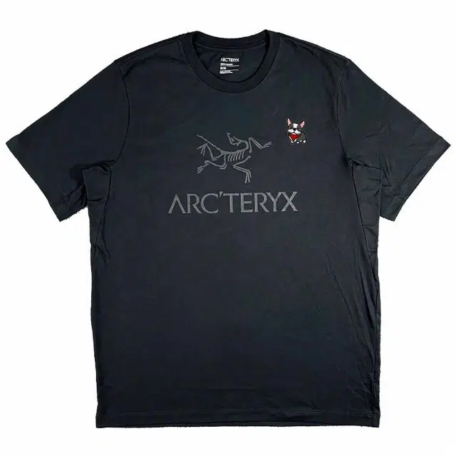 Arcteryx T