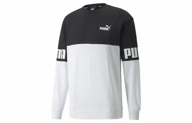 Puma Power Logo
