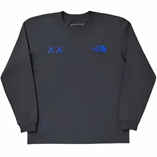 THE NORTH FACE x KAWS LogoT