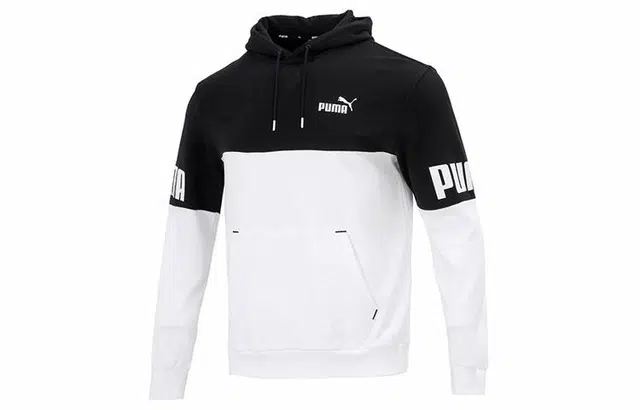 Puma Power Logo