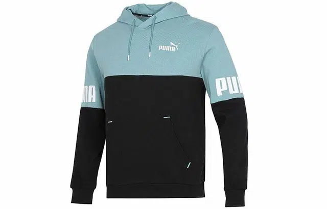 Puma Power Logo