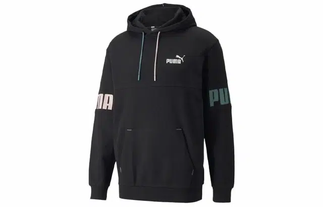 Puma Power Logo