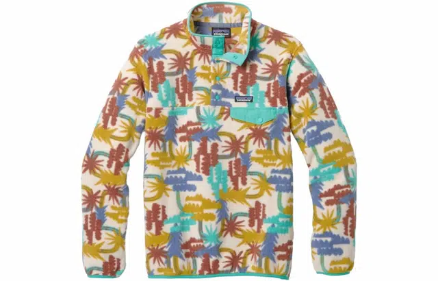 Patagonia W's Synchilla Snap-T Pullover