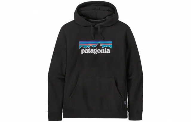 Patagonia Logo Hoodie