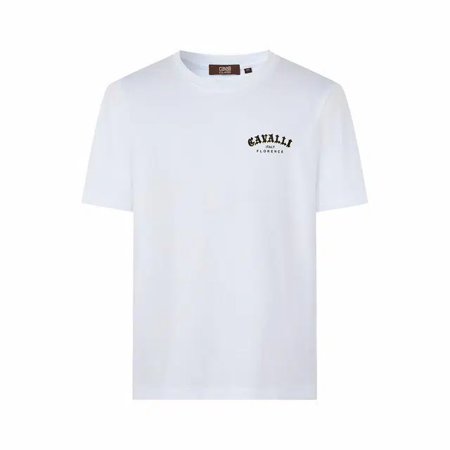 Cavalli Class T