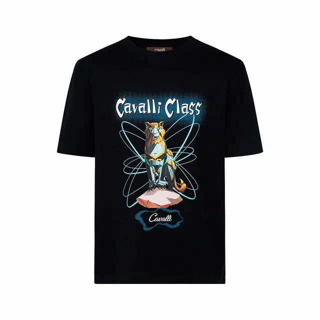 Cavalli Class T