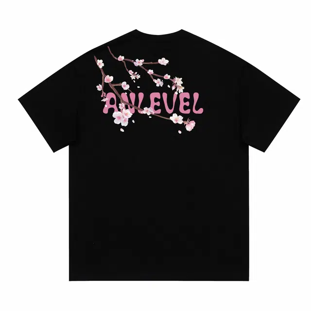 LEVEL T