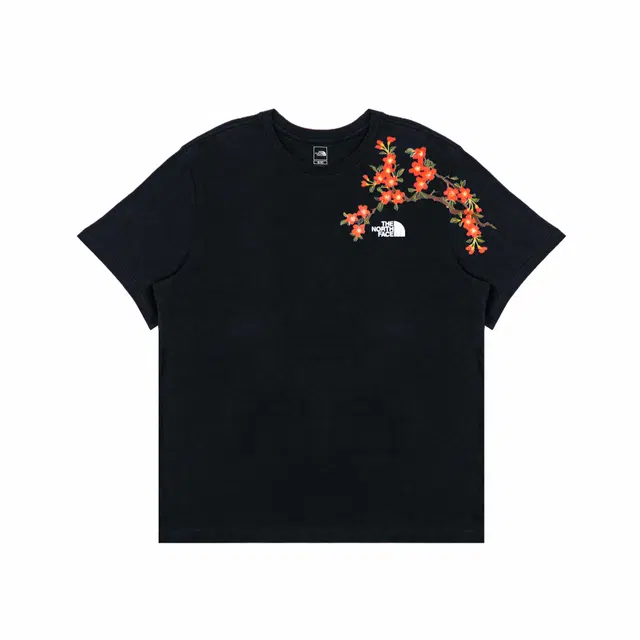 THE NORTH FACE logoT