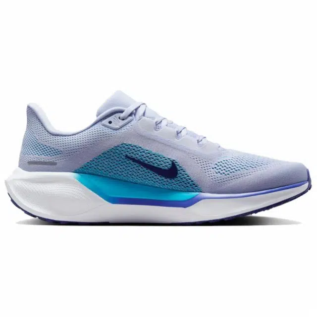 Nike Pegasus 41