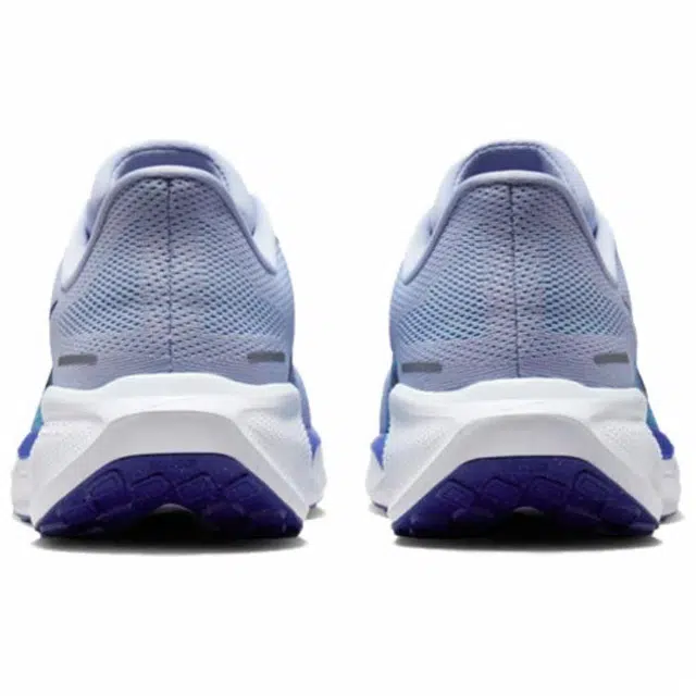 Nike Pegasus 41