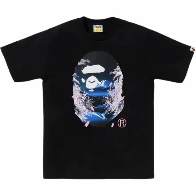 BAPE SS25