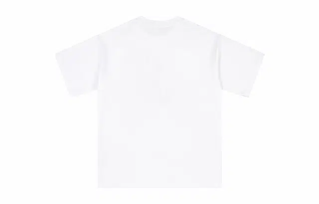 CSKS 260GLogoT