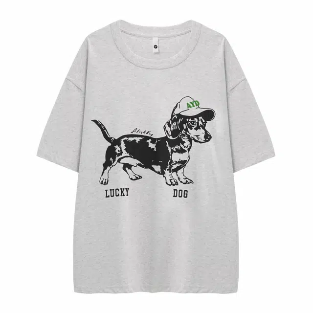 AFISHSTAY T