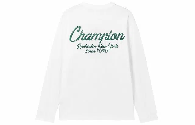 Champion FW24 BASIC T