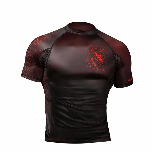 HAYABUSA LogoT