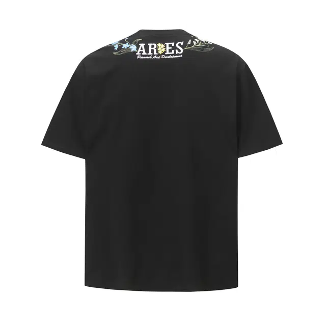 ECKCDS T