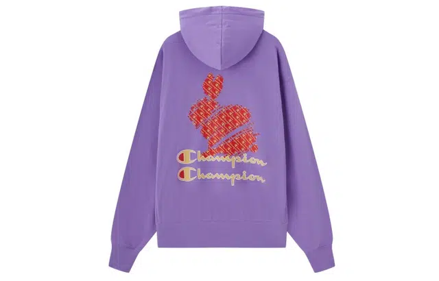 Champion Hoodie