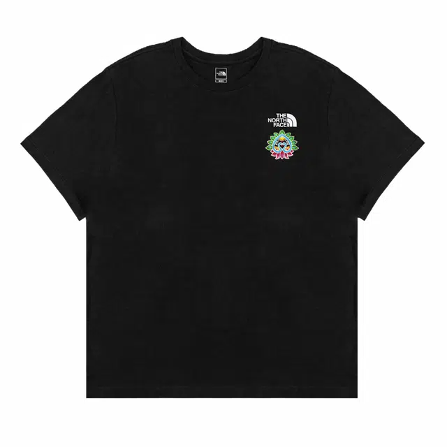 THE NORTH FACE T