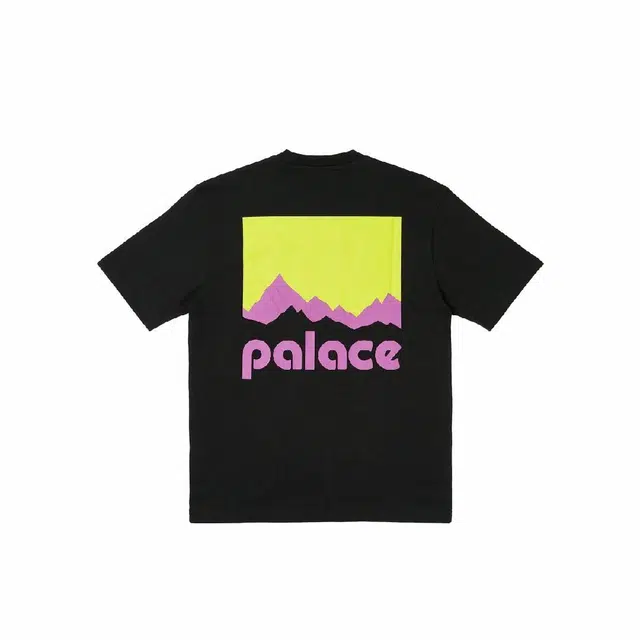 PALACE x Berghaus FW24 T